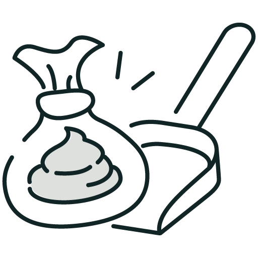 Cleaning Your Yard