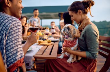 Our Favorite Dog-Friendly Events in Jacksonville